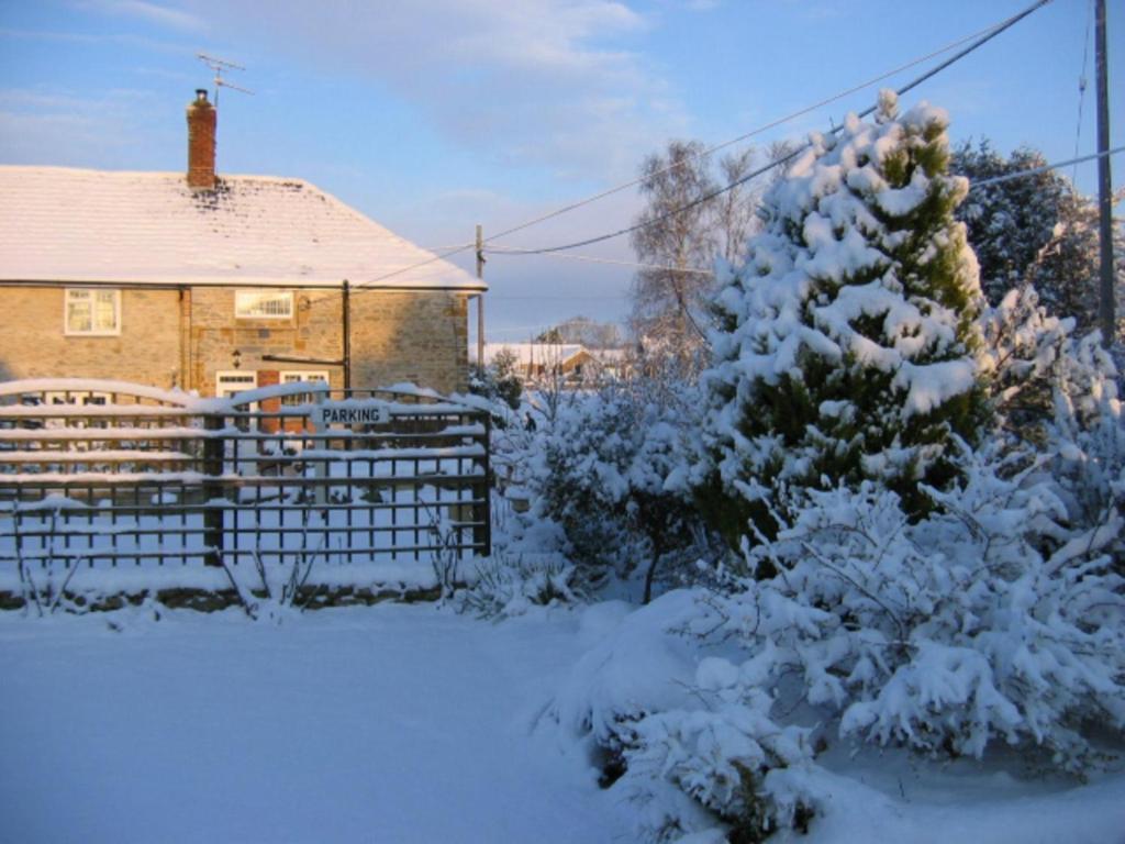 Quiet Woman House Bed & Breakfast Halstock Екстериор снимка