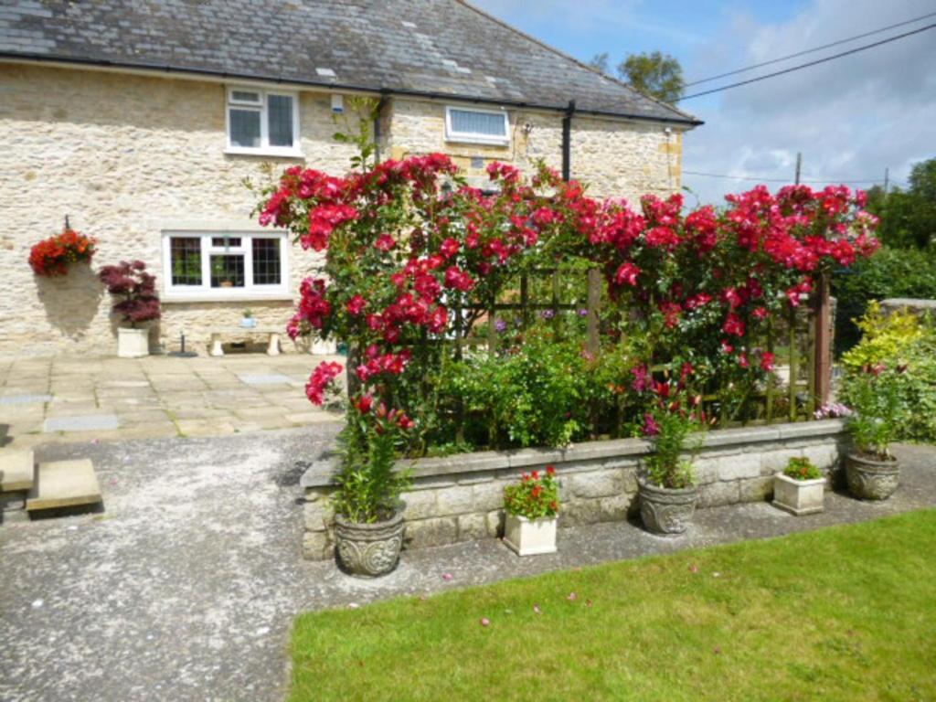 Quiet Woman House Bed & Breakfast Halstock Екстериор снимка